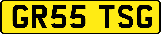 GR55TSG