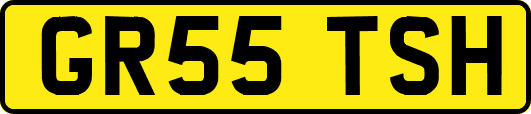 GR55TSH