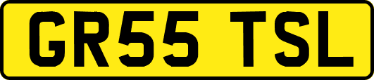 GR55TSL
