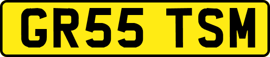 GR55TSM