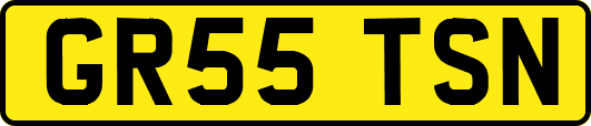 GR55TSN
