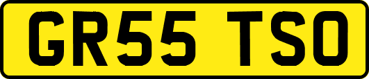 GR55TSO