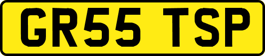 GR55TSP