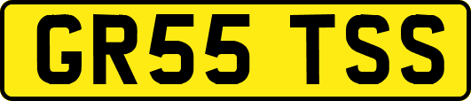 GR55TSS