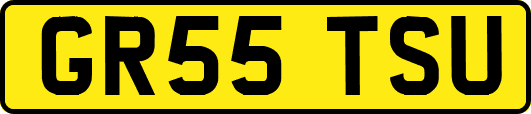 GR55TSU