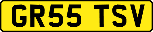 GR55TSV