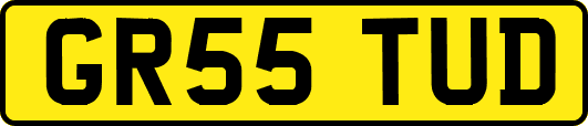 GR55TUD