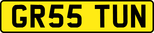 GR55TUN