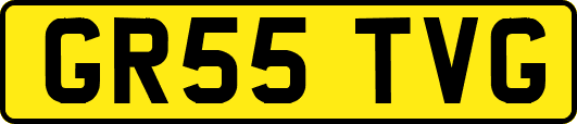 GR55TVG