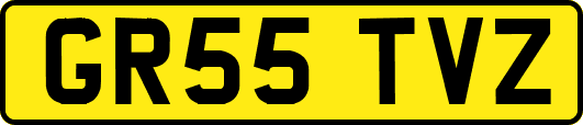 GR55TVZ