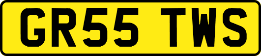 GR55TWS