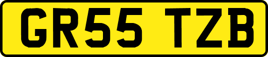 GR55TZB