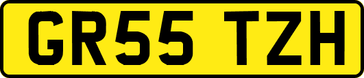 GR55TZH