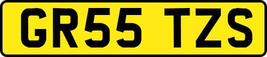 GR55TZS