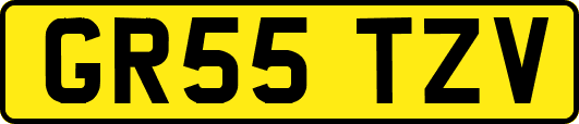 GR55TZV