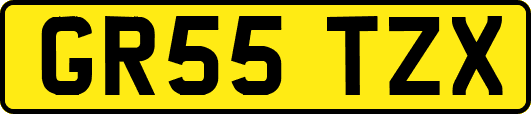 GR55TZX