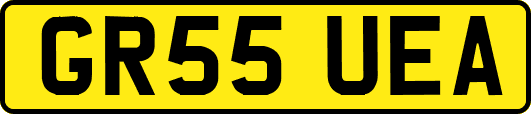 GR55UEA
