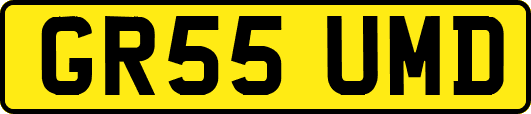 GR55UMD