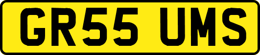 GR55UMS