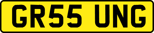 GR55UNG