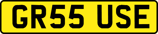 GR55USE
