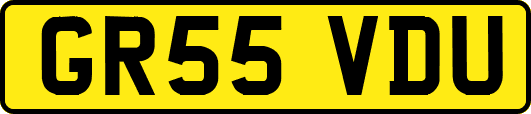 GR55VDU