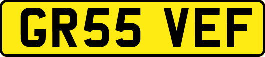 GR55VEF