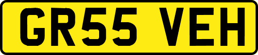 GR55VEH