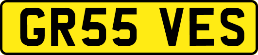 GR55VES
