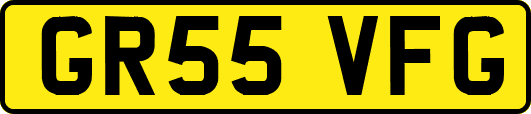 GR55VFG