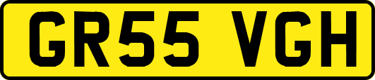 GR55VGH