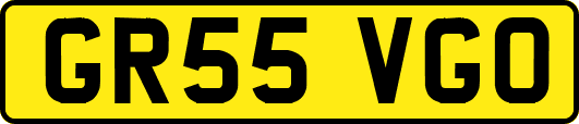 GR55VGO