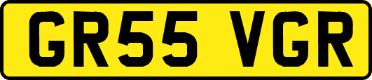 GR55VGR