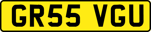 GR55VGU