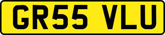 GR55VLU