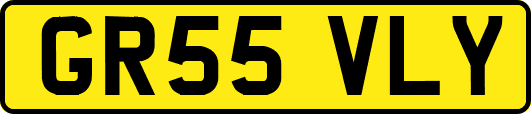 GR55VLY