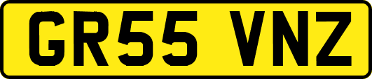 GR55VNZ