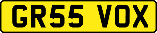 GR55VOX