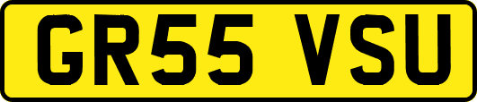 GR55VSU