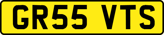 GR55VTS