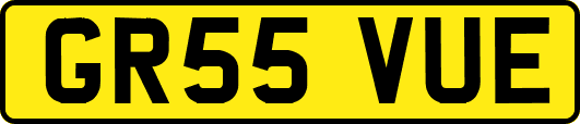 GR55VUE