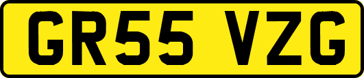 GR55VZG