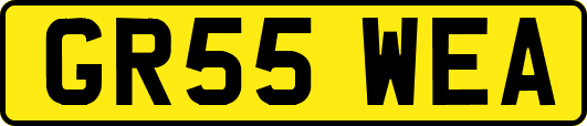 GR55WEA