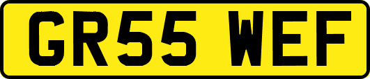 GR55WEF