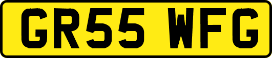 GR55WFG
