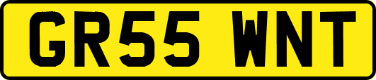 GR55WNT