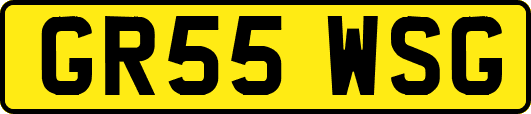 GR55WSG