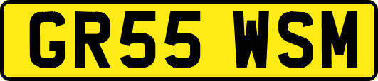 GR55WSM