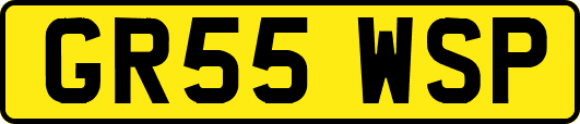 GR55WSP