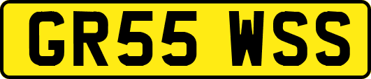 GR55WSS